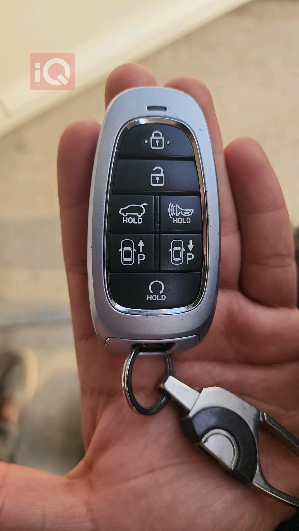 هیۆندای پالیسەید